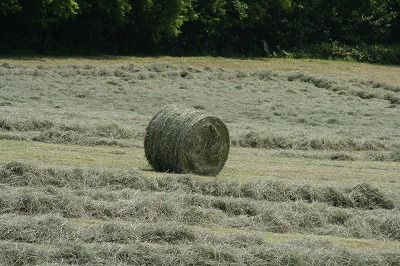 ファイル 116-4.jpg