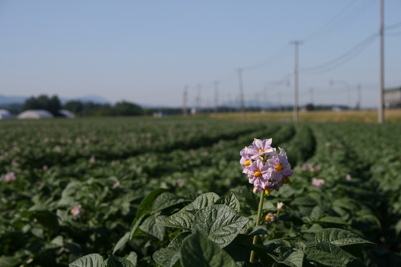 ファイル 117-1.jpg