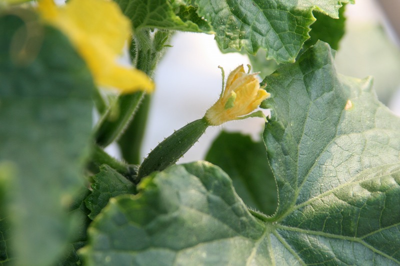 ファイル 118-3.jpg