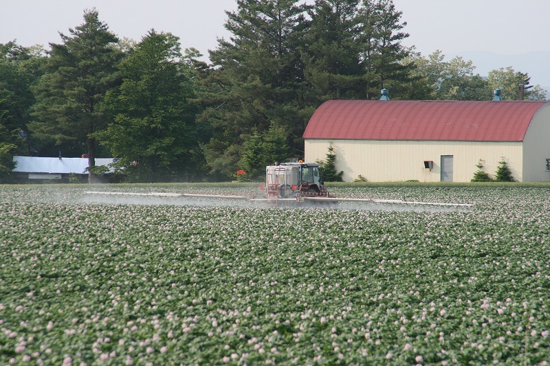 ファイル 118-5.jpg