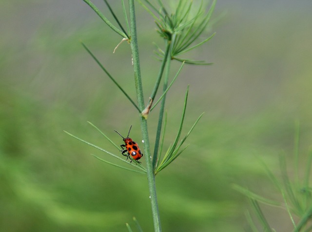 ファイル 120-1.jpg