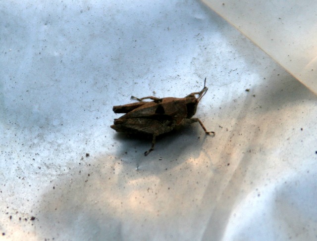 ファイル 120-3.jpg