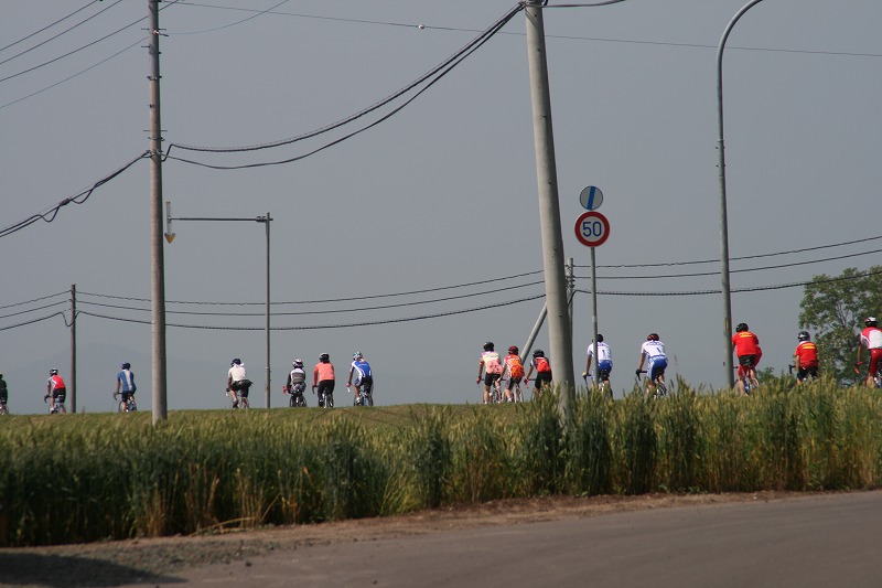 ファイル 121-1.jpg