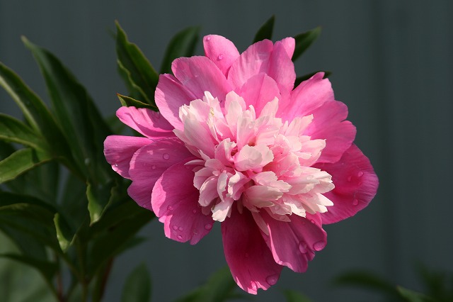 ファイル 121-3.jpg