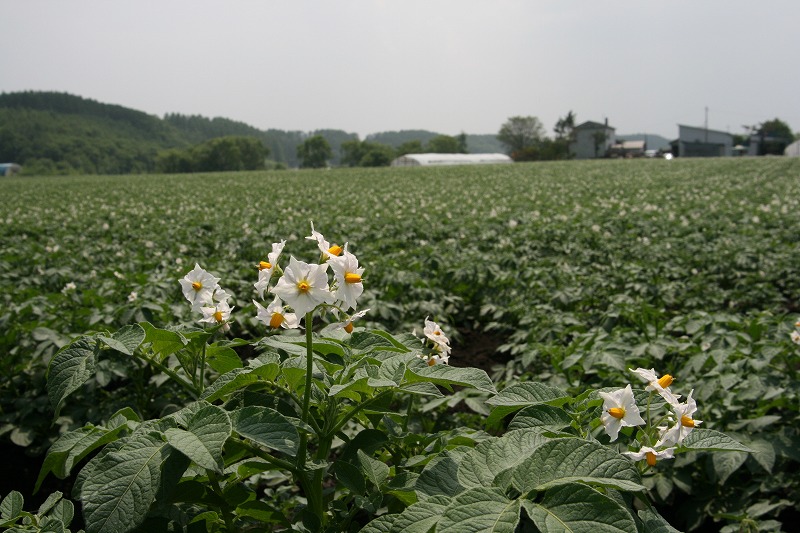 ファイル 122-1.jpg