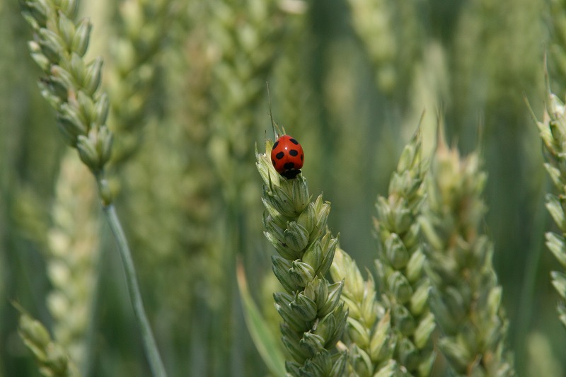 ファイル 122-3.jpg