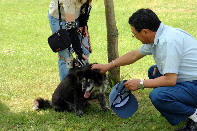 ファイル 124-4.jpg