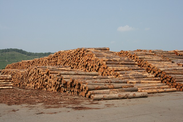 ファイル 124-5.jpg