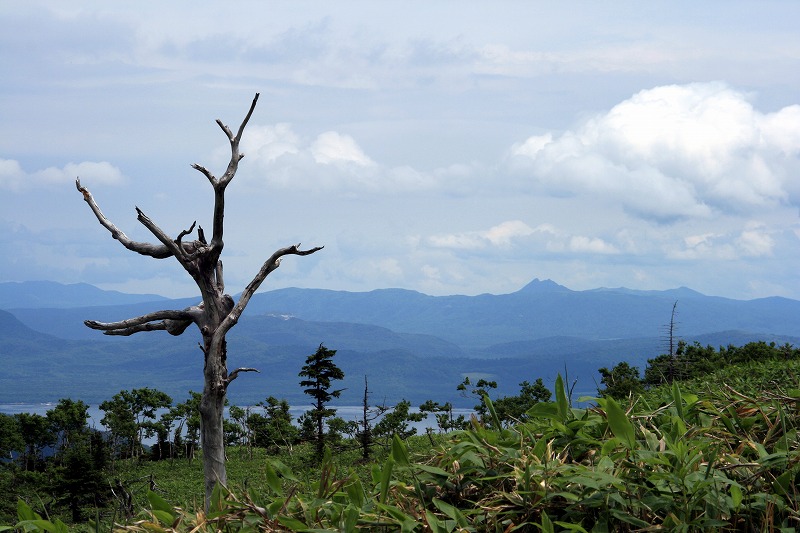 ファイル 127-3.jpg