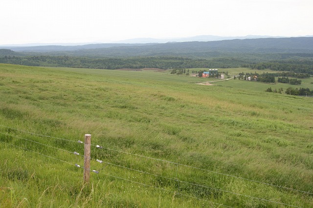 ファイル 127-4.jpg