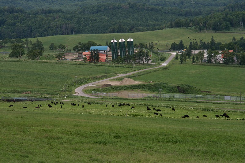 ファイル 127-5.jpg