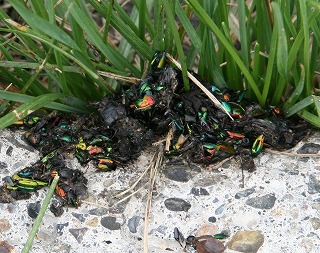 ファイル 128-3.jpg