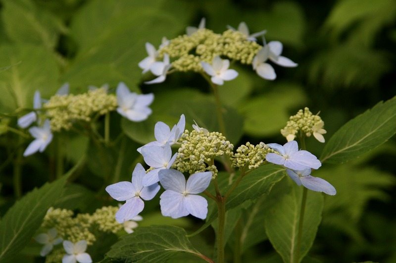 ファイル 129-2.jpg