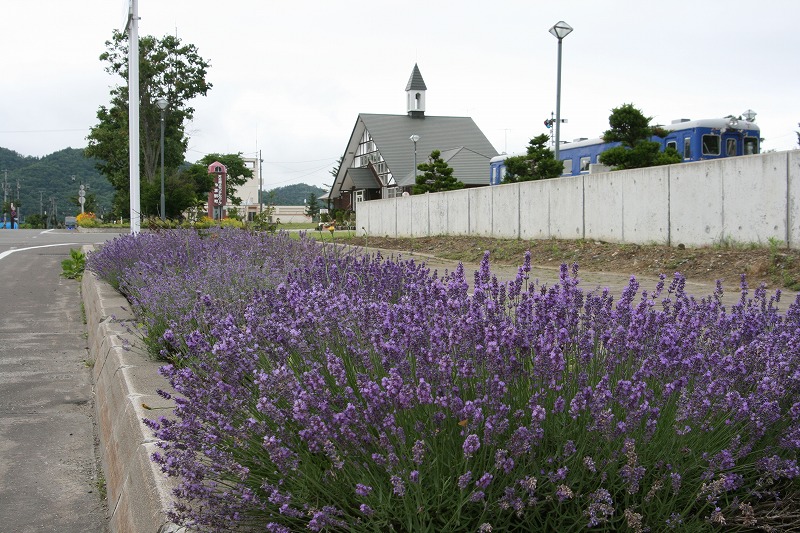 ファイル 130-1.jpg