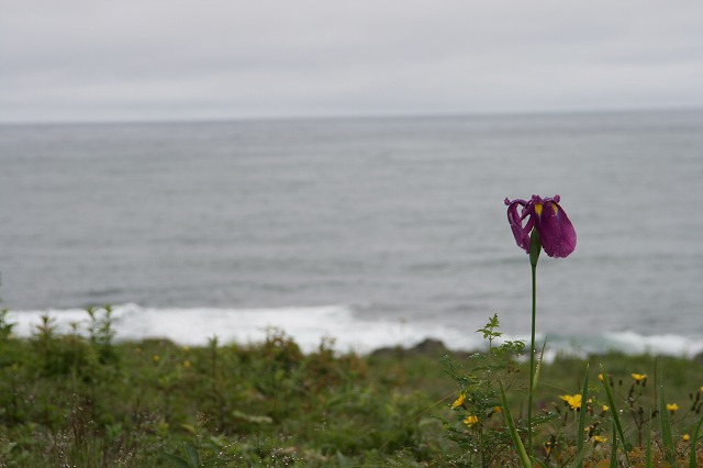 ファイル 131-2.jpg