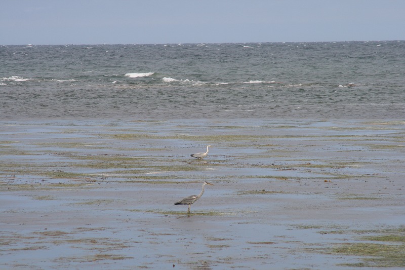 ファイル 132-3.jpg