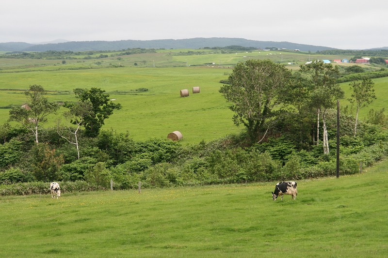 ファイル 133-1.jpg