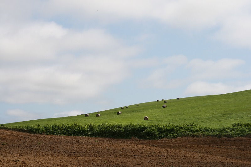 ファイル 133-2.jpg