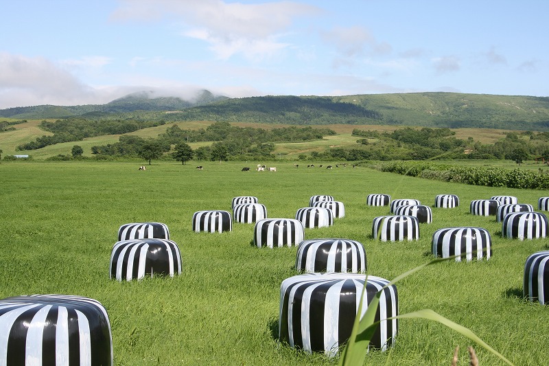 ファイル 133-3.jpg