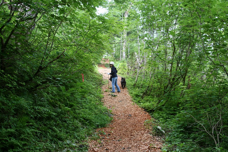 ファイル 134-1.jpg