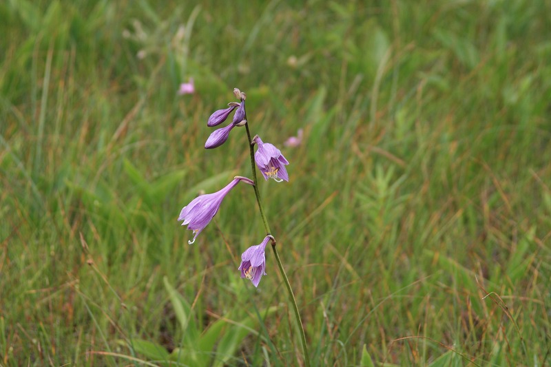 ファイル 135-2.jpg