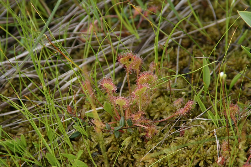 ファイル 135-3.jpg