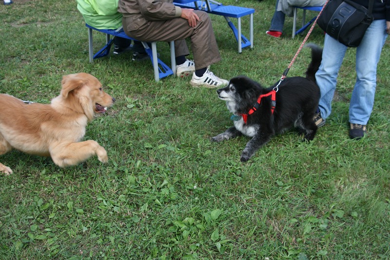 ファイル 136-3.jpg