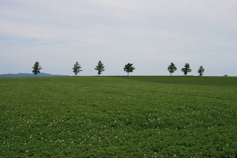 ファイル 140-2.jpg