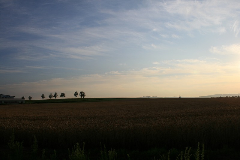 ファイル 140-3.jpg