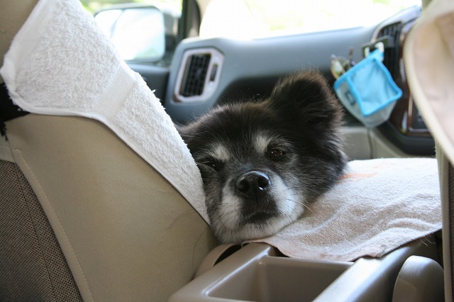 ファイル 142-3.jpg