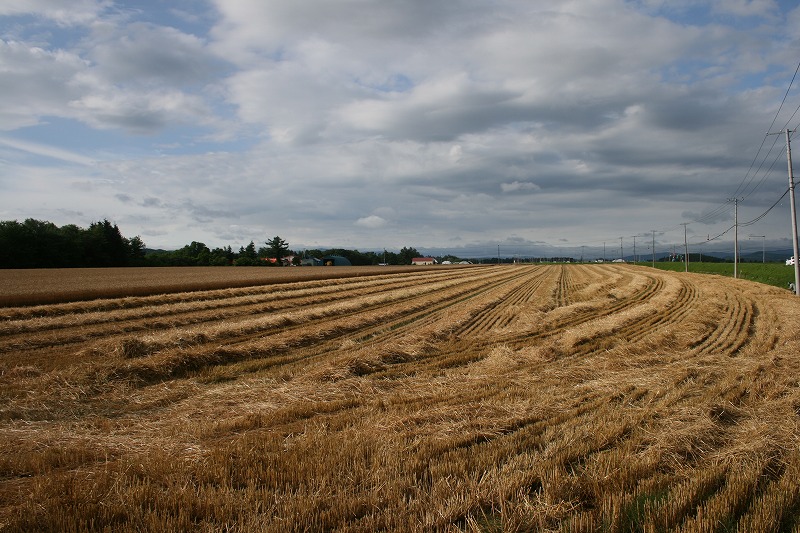 ファイル 143-1.jpg