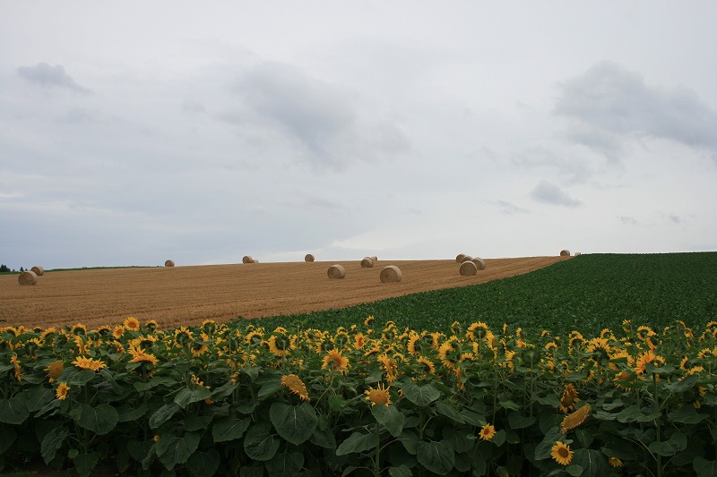 ファイル 145-1.jpg