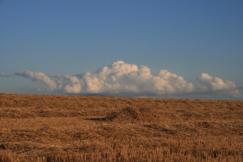 ファイル 146-1.jpg