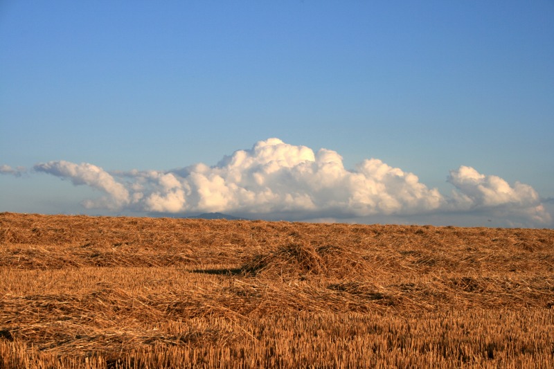 ファイル 146-4.jpg