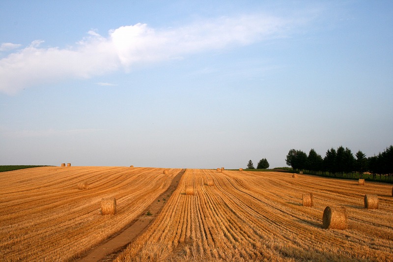 ファイル 147-2.jpg