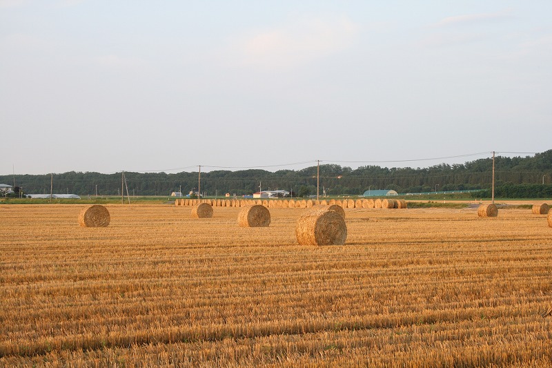 ファイル 147-3.jpg