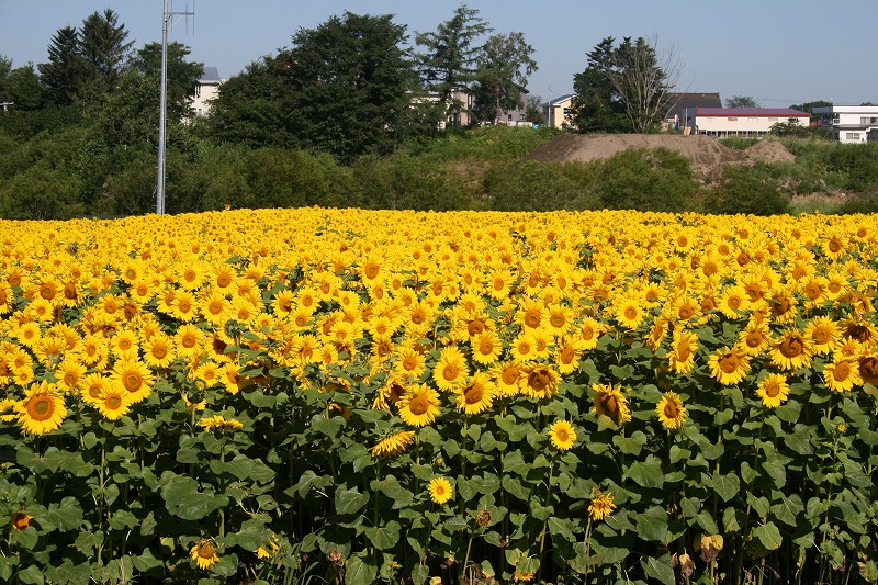 ファイル 147-4.jpg