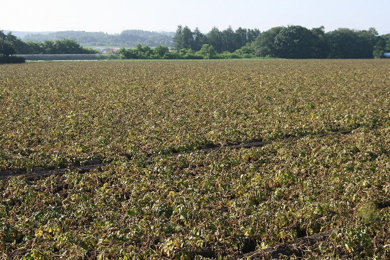 ファイル 148-1.jpg