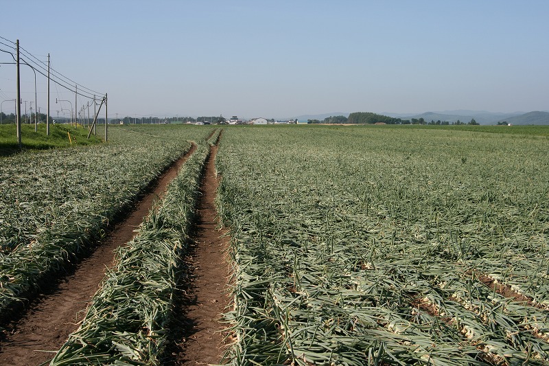 ファイル 148-2.jpg