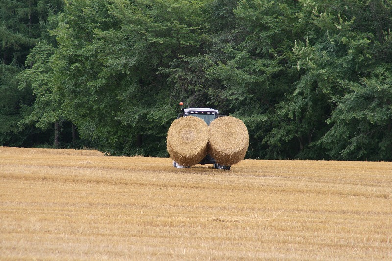 ファイル 149-2.jpg