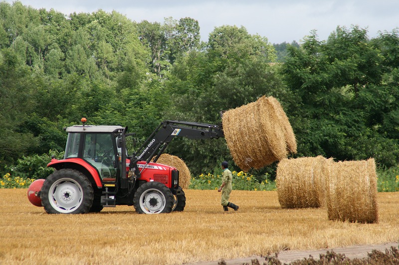 ファイル 149-3.jpg