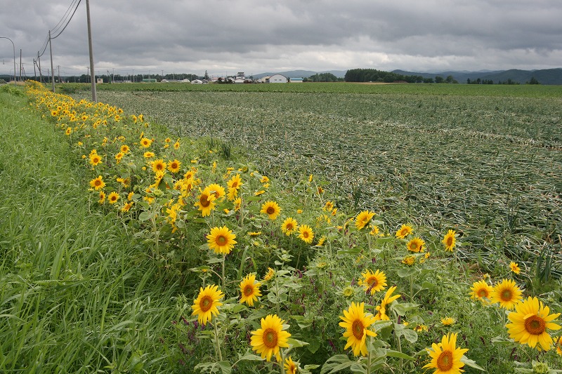 ファイル 150-1.jpg