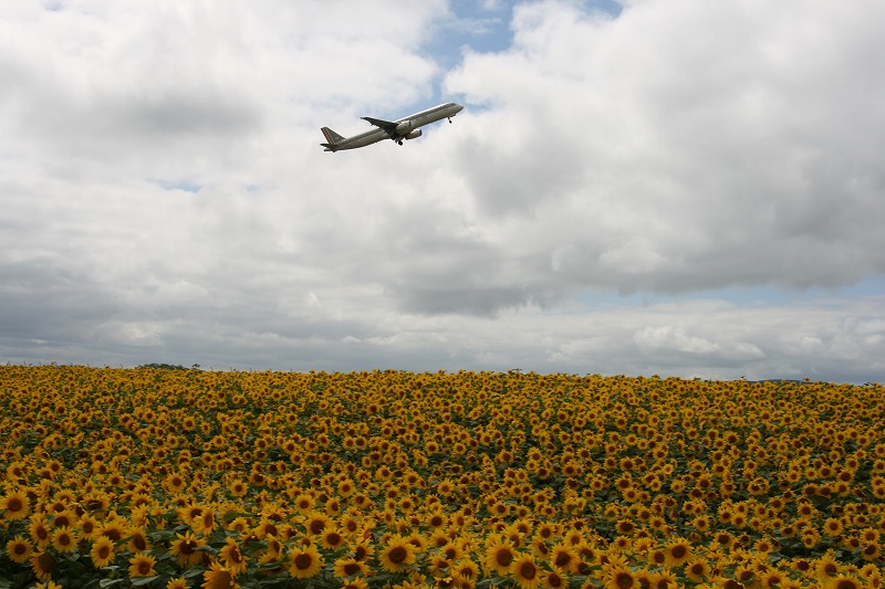 ファイル 152-1.jpg