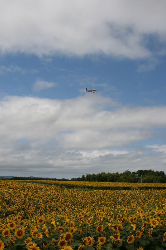 ファイル 152-3.jpg