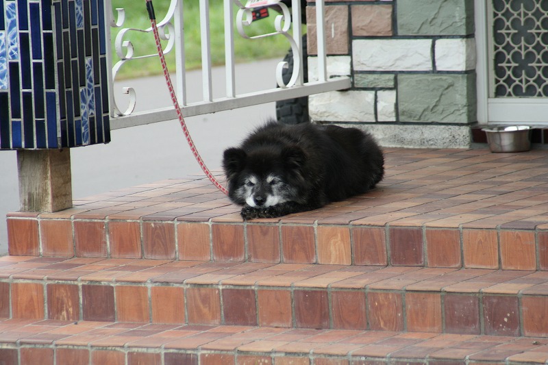 ファイル 155-2.jpg