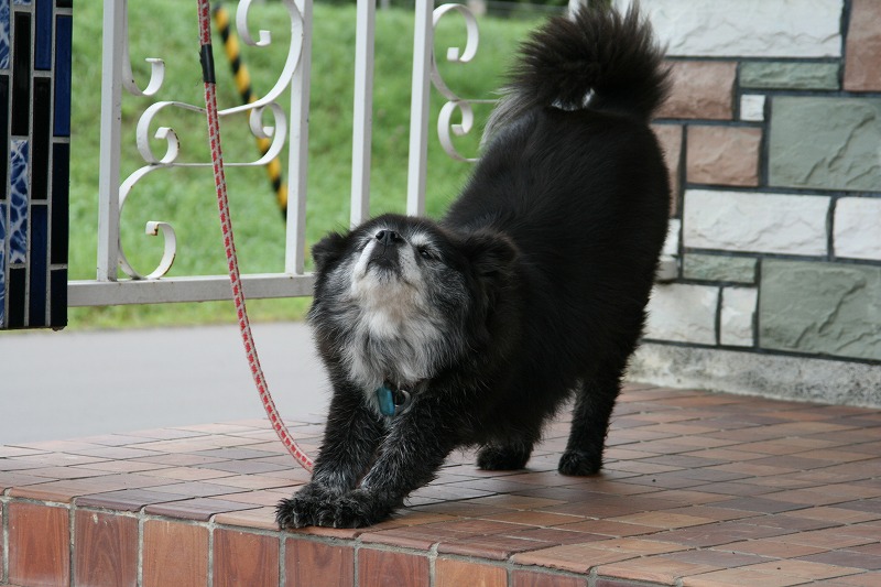 ファイル 155-3.jpg