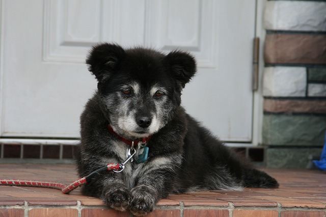 ファイル 156-1.jpg