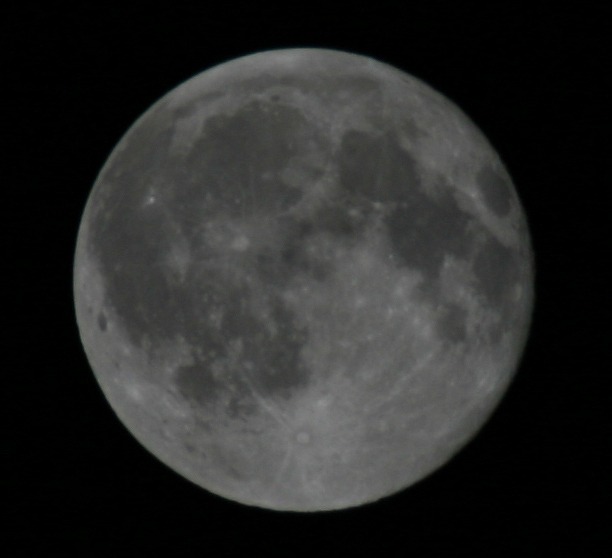 ファイル 156-2.jpg