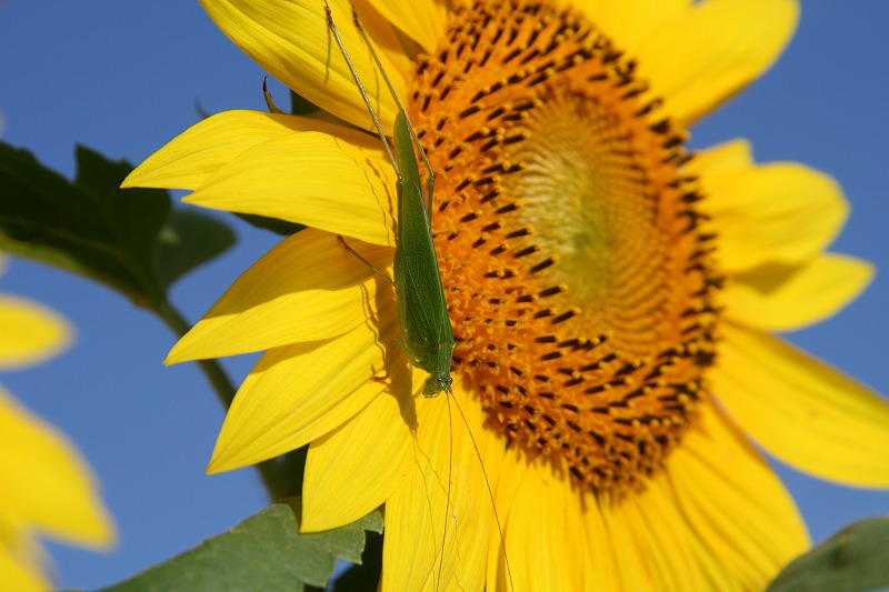 ファイル 157-3.jpg