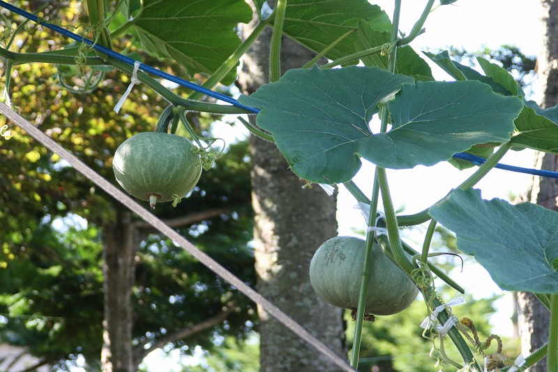 ファイル 157-4.jpg